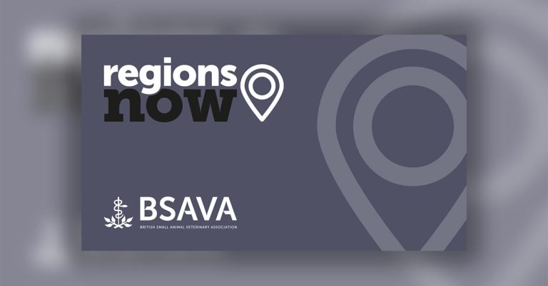 BSAVA regional groups to continue online meetings