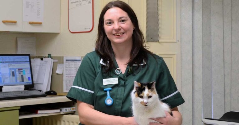 VN first for BSAVA