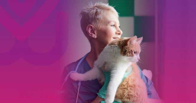 Most vet staff concerned about menopause impact