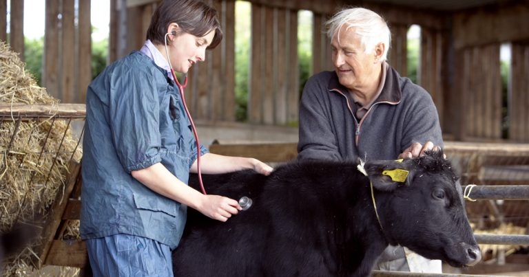 MilkSure changes ease farmer burden