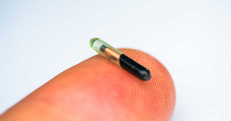BVA hails microchip access ‘win’