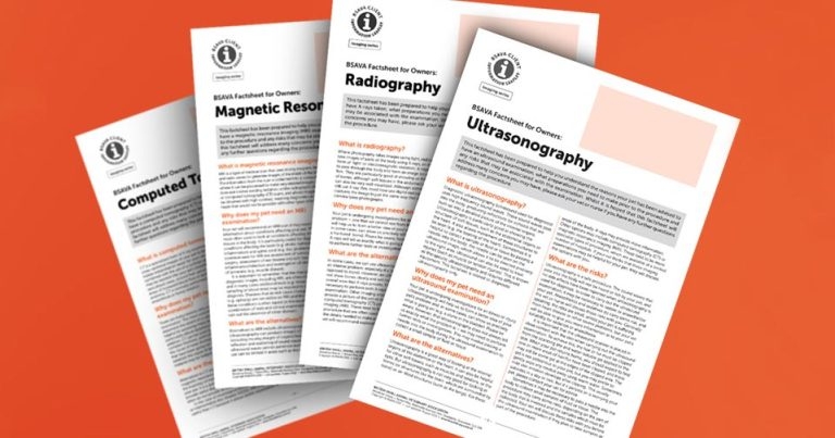 Imaging added to BSAVA client info leaflets