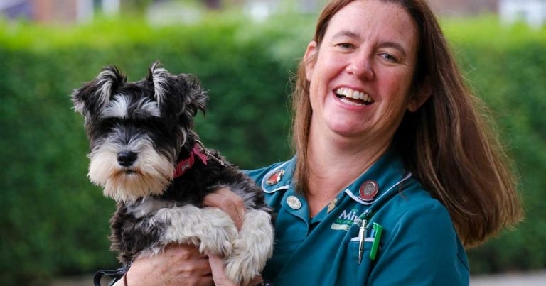 Vet nurse celebrates ‘amazing’ 25 years in dream role