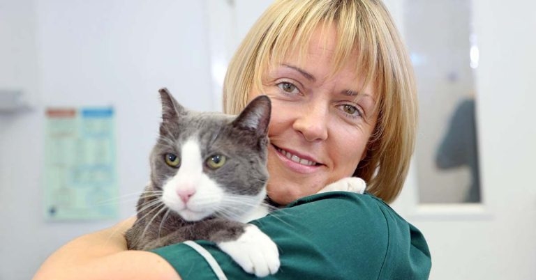 VetPartners announces The Cinnamon Trust as its 2022 charity