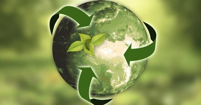 BSAVA publishes sustainability collection 