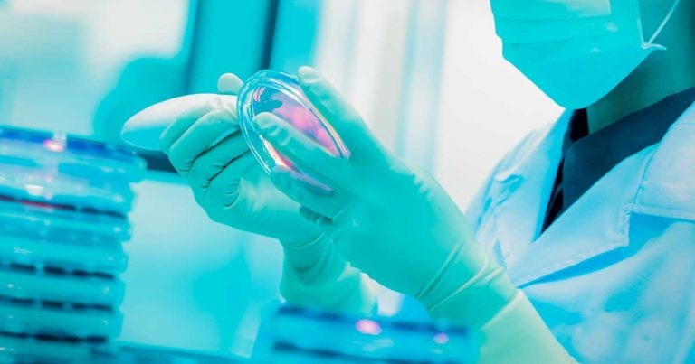 New grants award for projects tackling AMR and infectious diseases