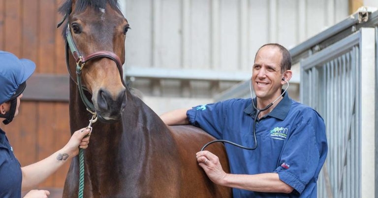 IVC appoints vet advisor to equine group
