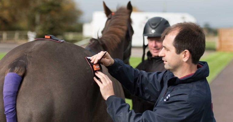 First for equine vet leading from front