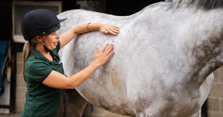 Glasgow PhD student develops app to tackle horse obesity