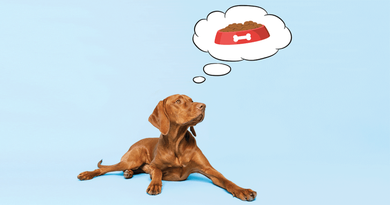 Food for thought: getting on message with nutrition