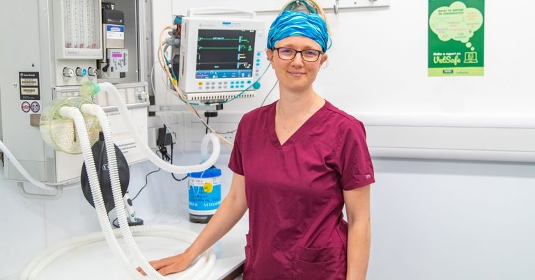Linnaeus makes £480k investment to reduce carbon emissions