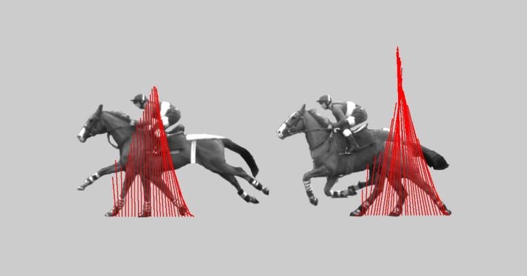 Study reveals new insights into the role of  muscles and tendons in animals