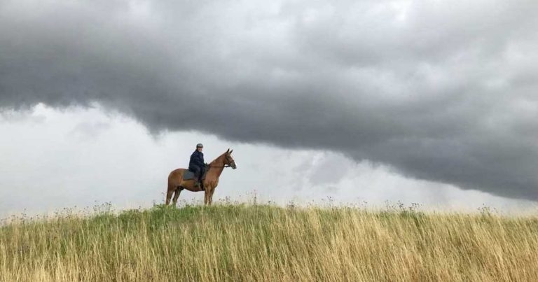 Vet to complete cross-Britain pony trek for charities 