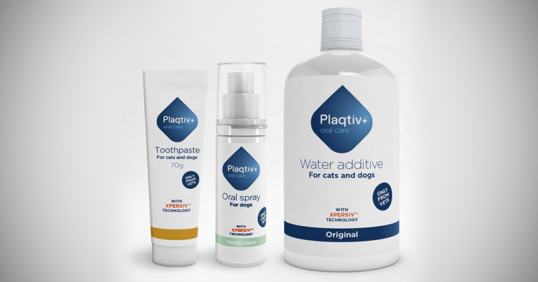 New range aims to make dental care more accessible