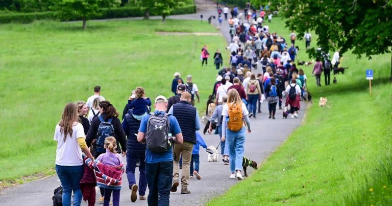Dog walk raises more than £37k for charity