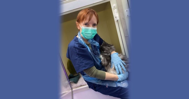 Glasgow practice’s cat care is gold standard
