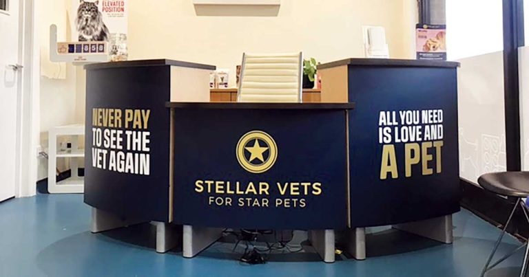 Practice Profile: Stellar Vets