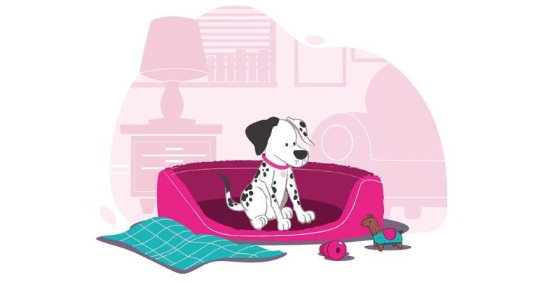 PDSA and Royal Canin weigh in on pet obesity in campaign