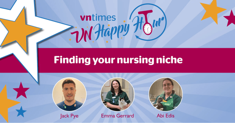 VN Times Podcast, Ep 29: Happy Hour 13 – finding your nursing niche