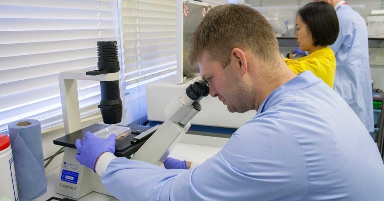Top grades for vet schools in research review