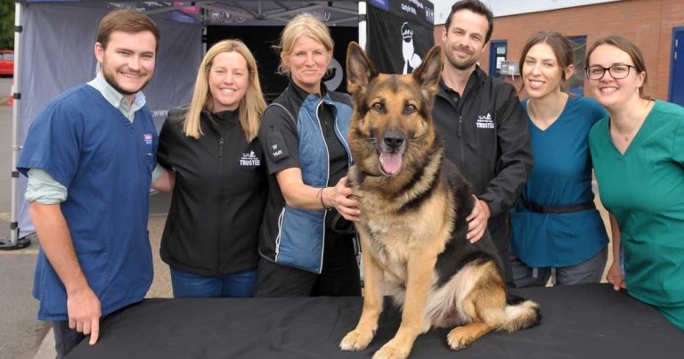 Animal hospital raises funds for retired police dog charity