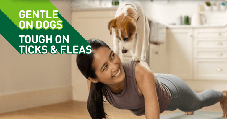 All-round parasite protection with Credelio Plus!