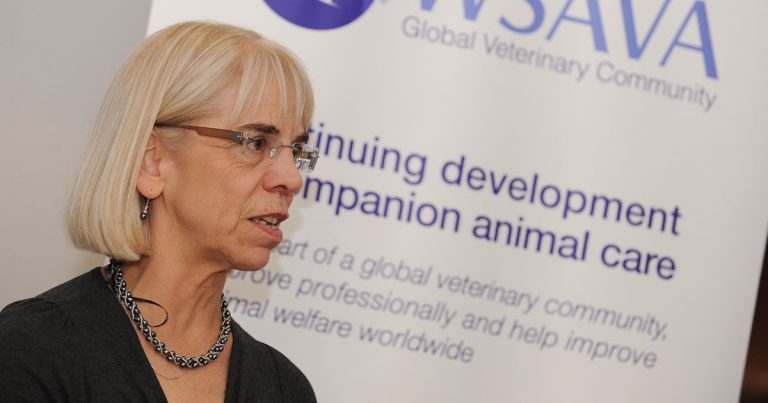 Collaborative care focus for Purina Institute webinar series