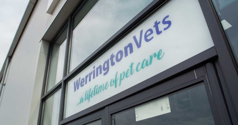 Practice Profile: Werrington Vets
