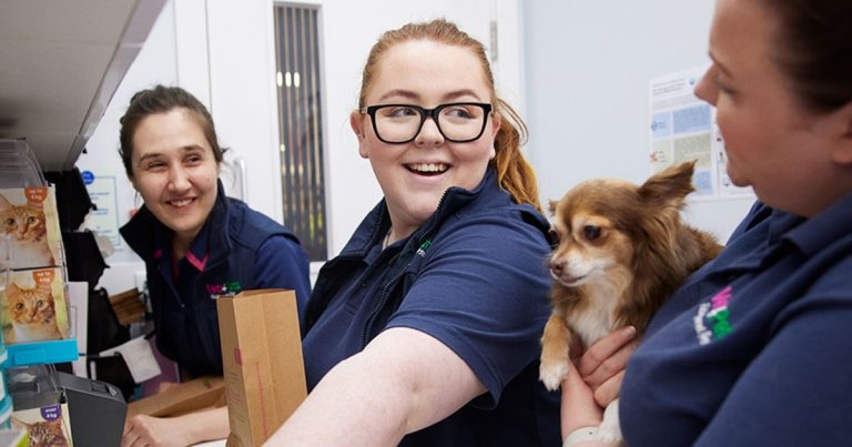 Vets4Pets partners VetLed for civility training programme for teams