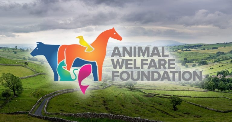 AWF appeals for new trustees to join board