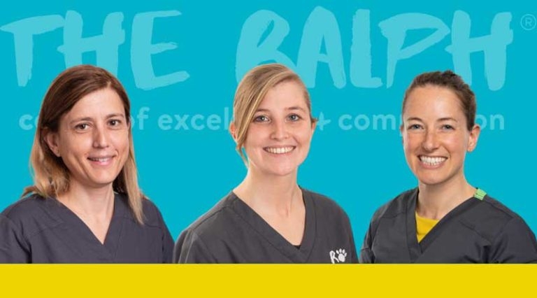 The Ralph launches telemedicine service for vets in practice