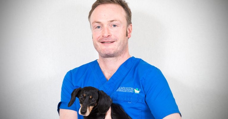 VetPartners buys first practice in Ireland