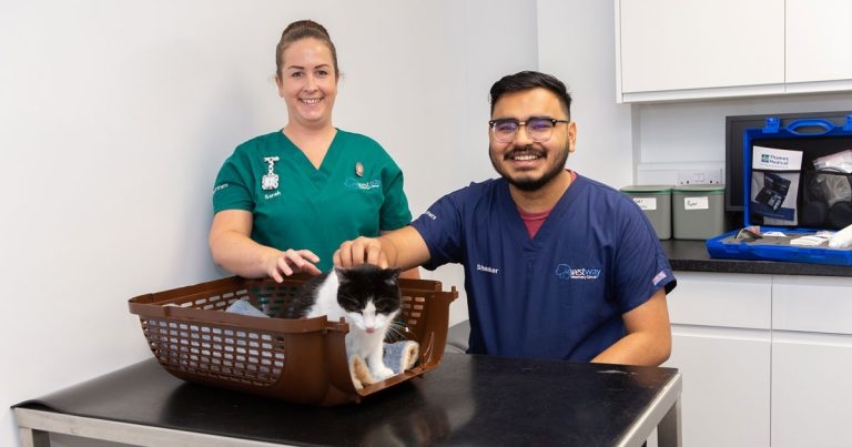 Hospital launches dedicated cat centre in £150k expansion scheme