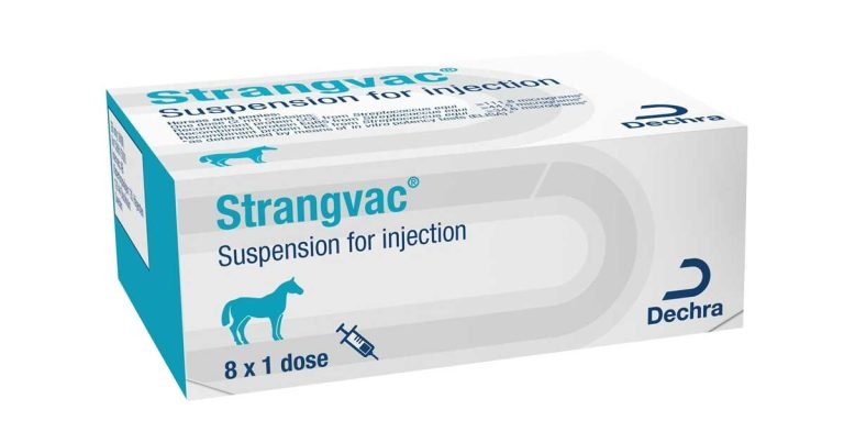 Dechra unveils protein-based equine strangles vaccine