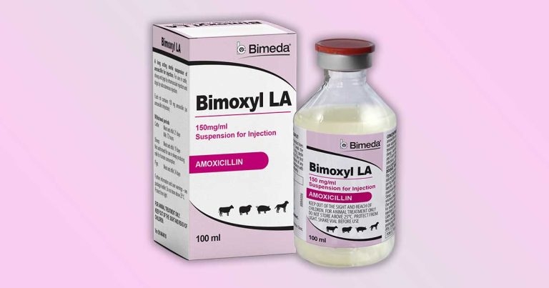 Bimeda relaunches amoxicillin suspension injection