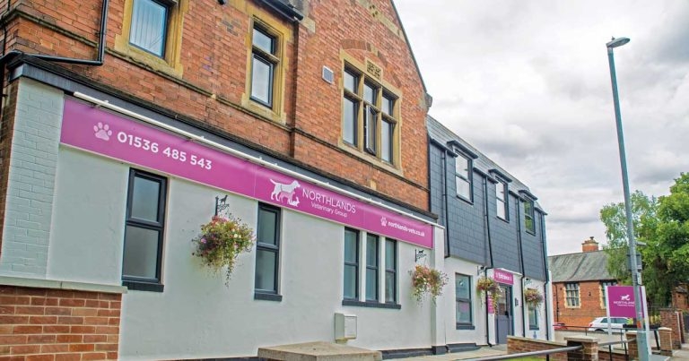 Practice Profile: Northlands Veterinary Hospital