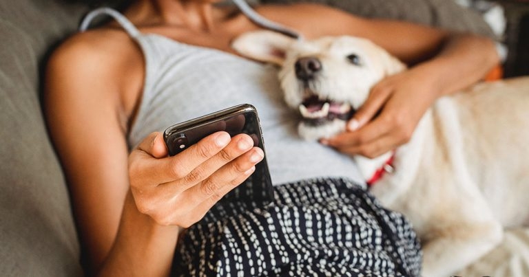 MWI launches new client engagement tool