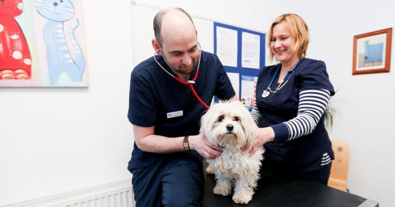 CVS announces new Scottish practice deal