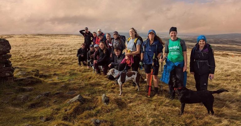 Vets and VNs take on Herriot Way for charity
