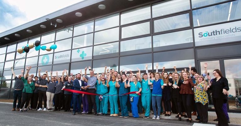 Practice Profile: Southfields Veterinary Specialists