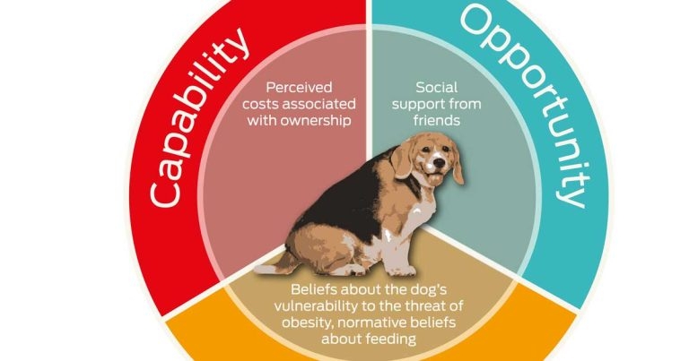 Leveraging behavioural science to address pet obesity