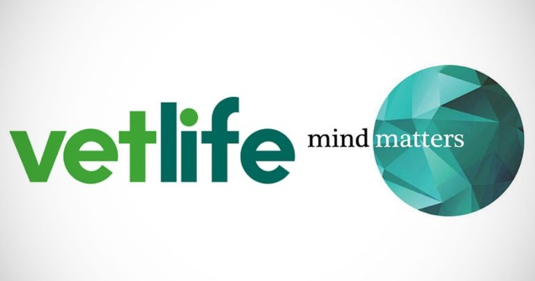 MMI donates more than £1m to Vetlife