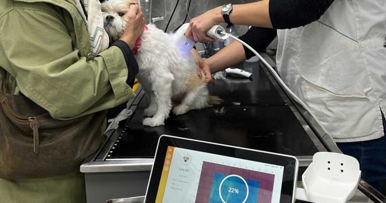 New canine scanner launches in the UK