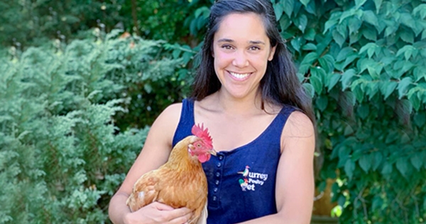 Ep 83: Pet poultry – don’t panic!