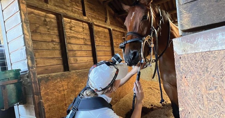 Practice Profile: Pocket Nook Equine Vets, Cheshire