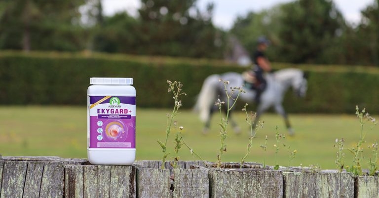 Audevard Laboratories introduces equine gastric product