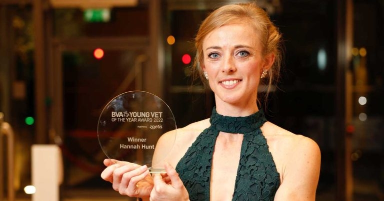 Search on for BVA Young Vet of the Year