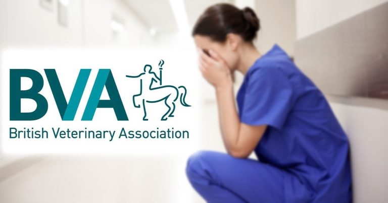 BVA unveils new support scheme against online abuse