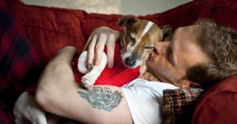 Charities join forces to help families and their pets this Christmas