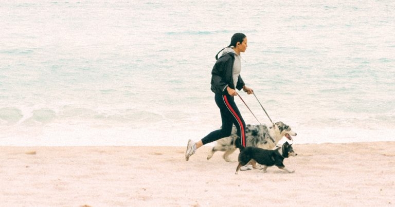 Purina launches new commitments to pets, people and the planet